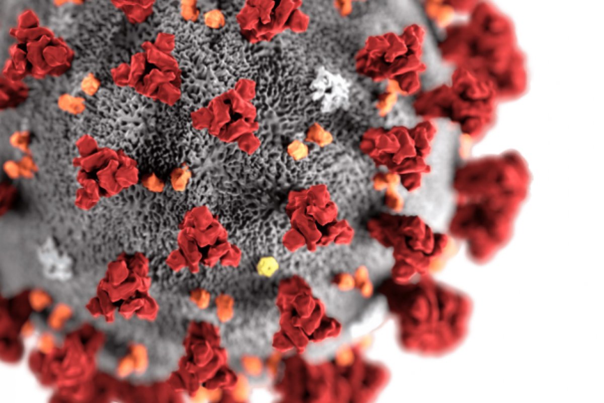 Veja os últimos dados da pandemia nesta segunda-feira (14)