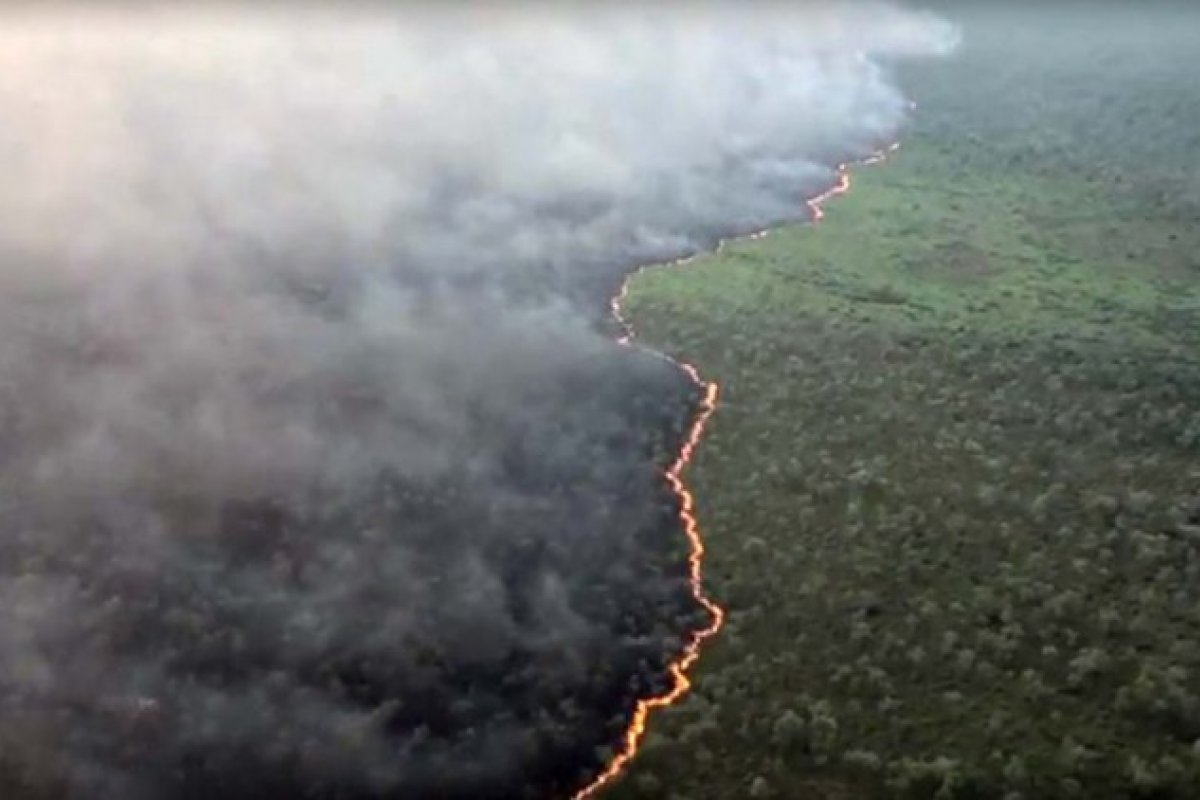PF deflagra operação para investigar responsáveis por queimadas no Pantanal