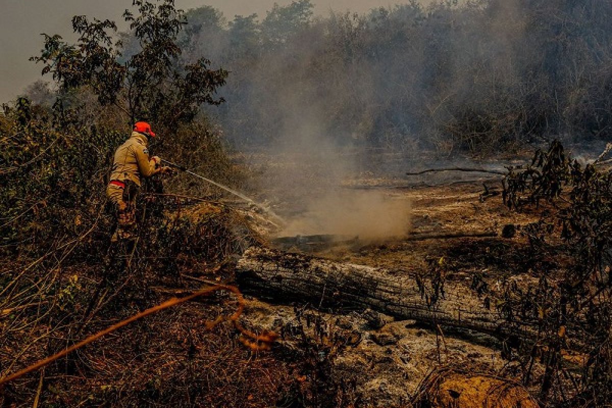 Mato Grosso do Sul decreta situação de emergência após agravamento dos incêndios 