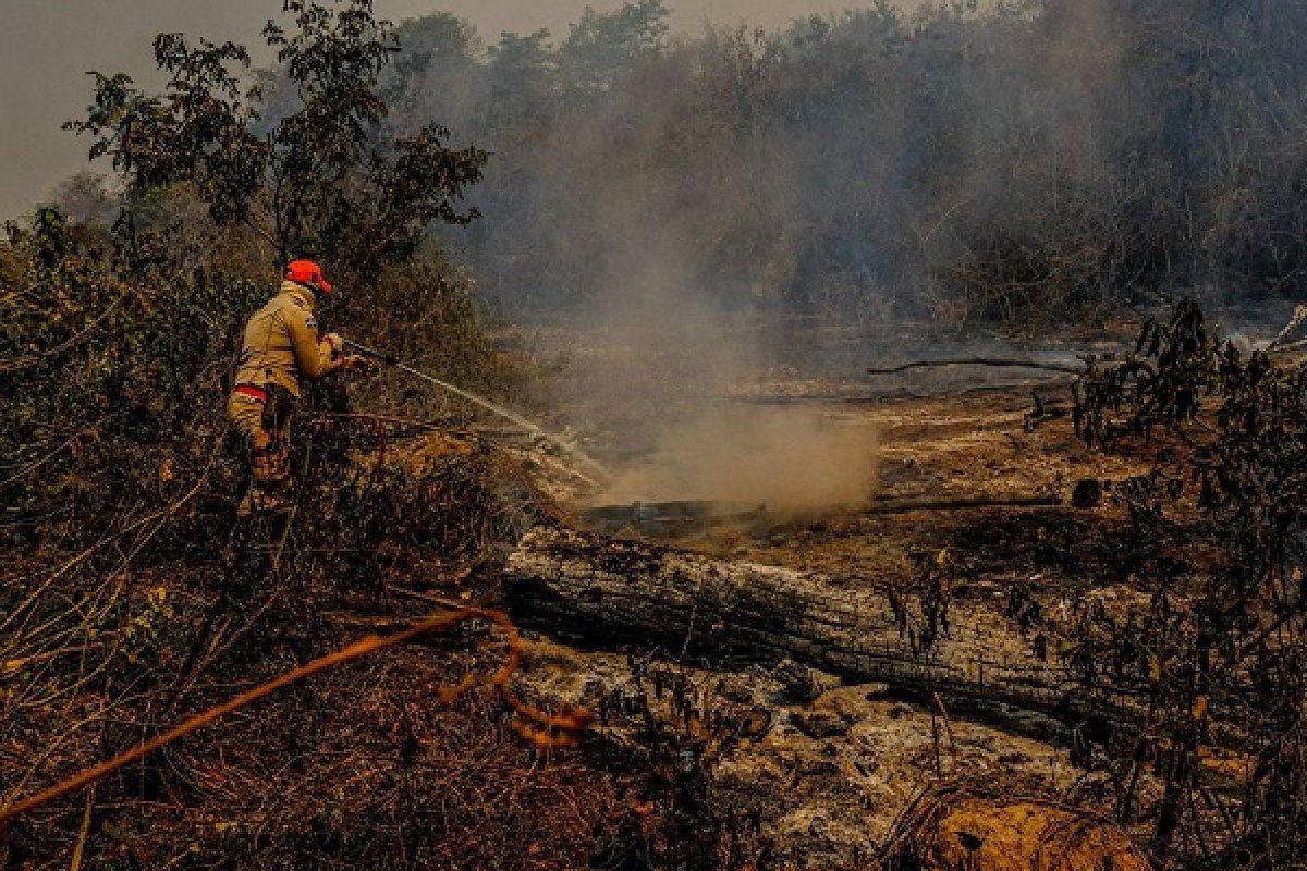 Mato Grosso do Sul decreta situação de emergência após agravamento dos incêndios