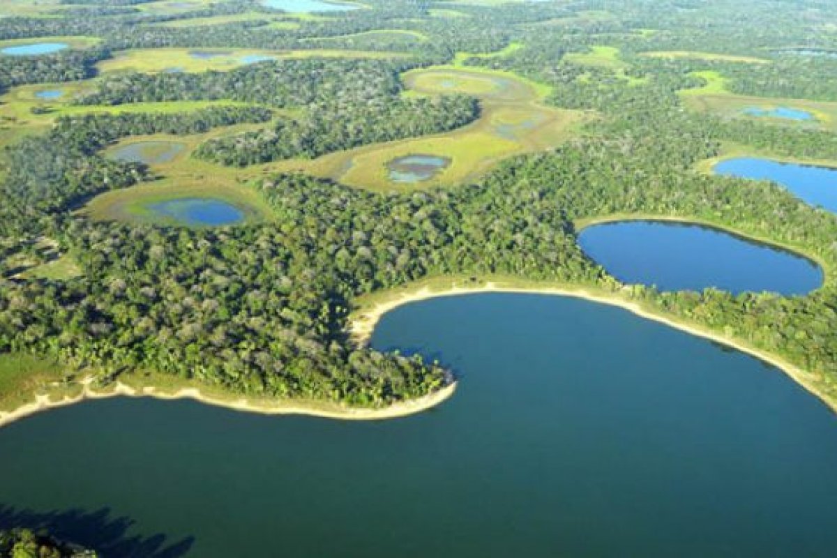 Autuações do Ibama por queimadas no Pantanal caíram 48% em um ano
