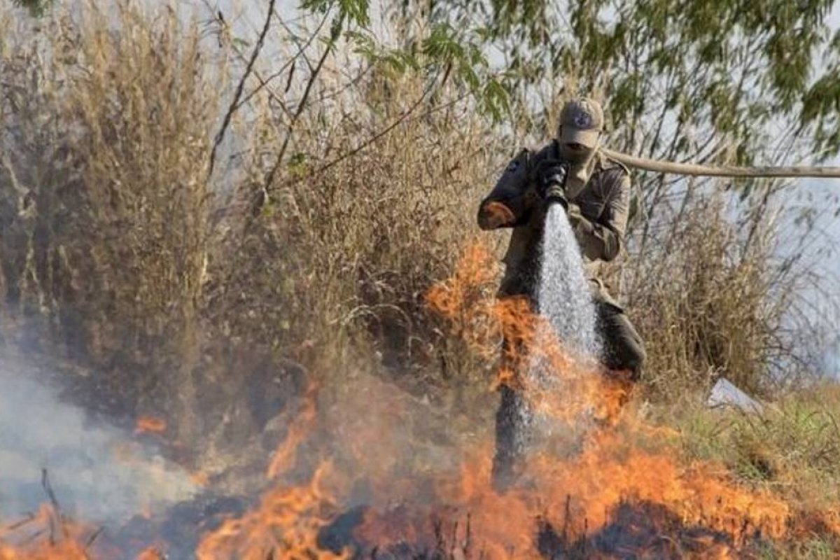 Salles admite que incêndio no Pantanal tomou proporção 'gigantesca'