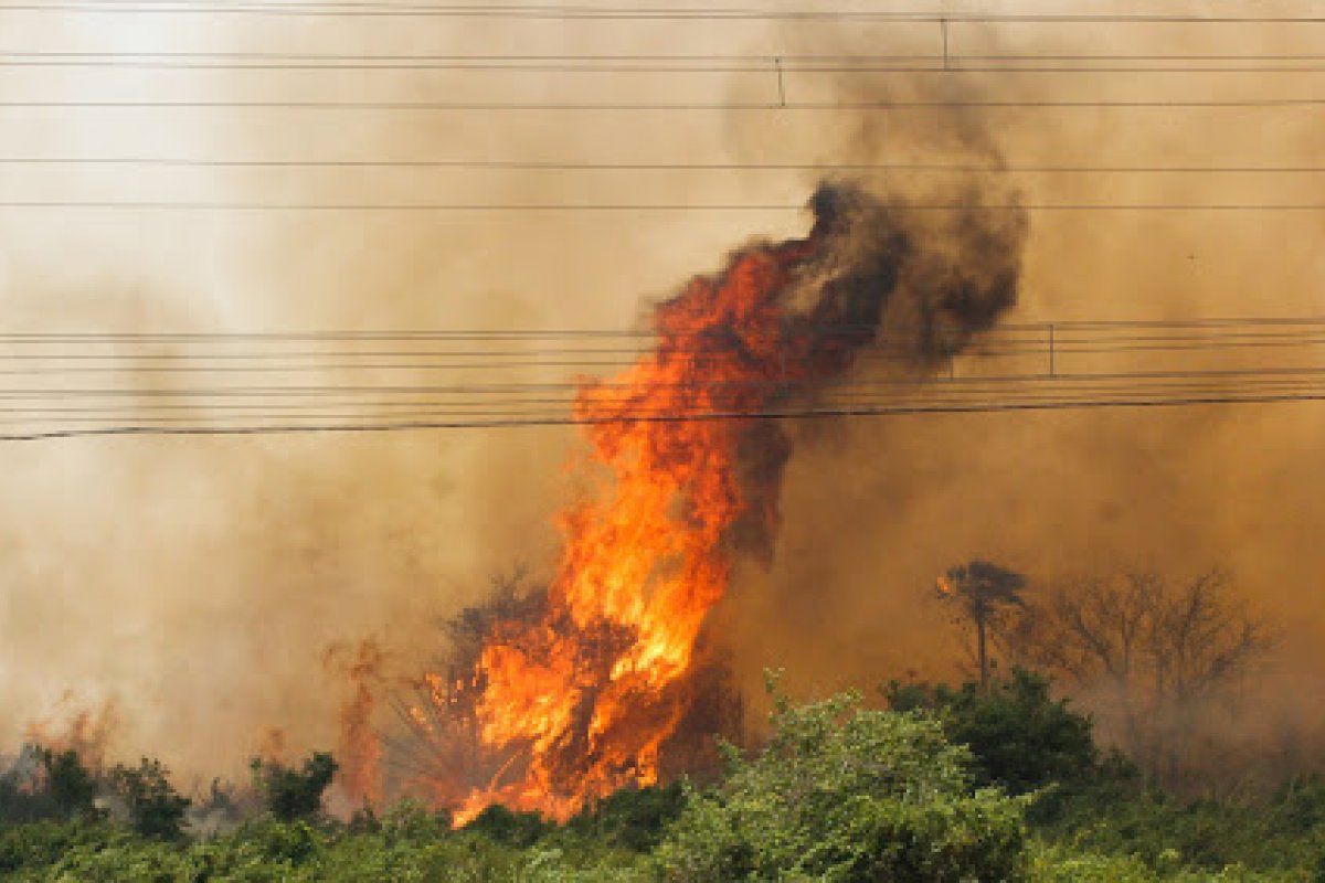 Pontos de incêndio no Pantanal batem recorde histórico, segundo Inpe