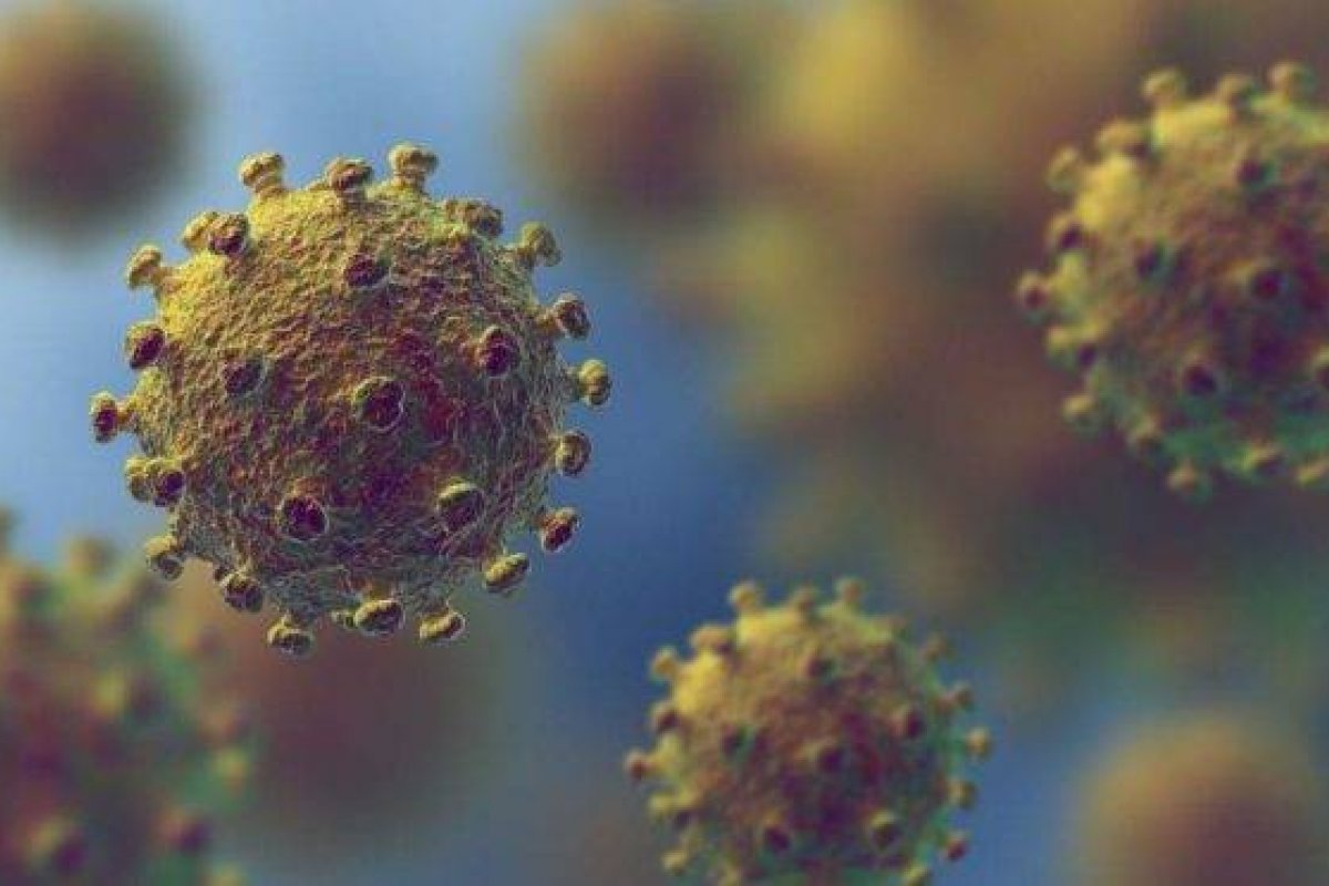 Covid-19: Brasil registra mais de 36 mil casos confirmados e 829 mortes em 24h