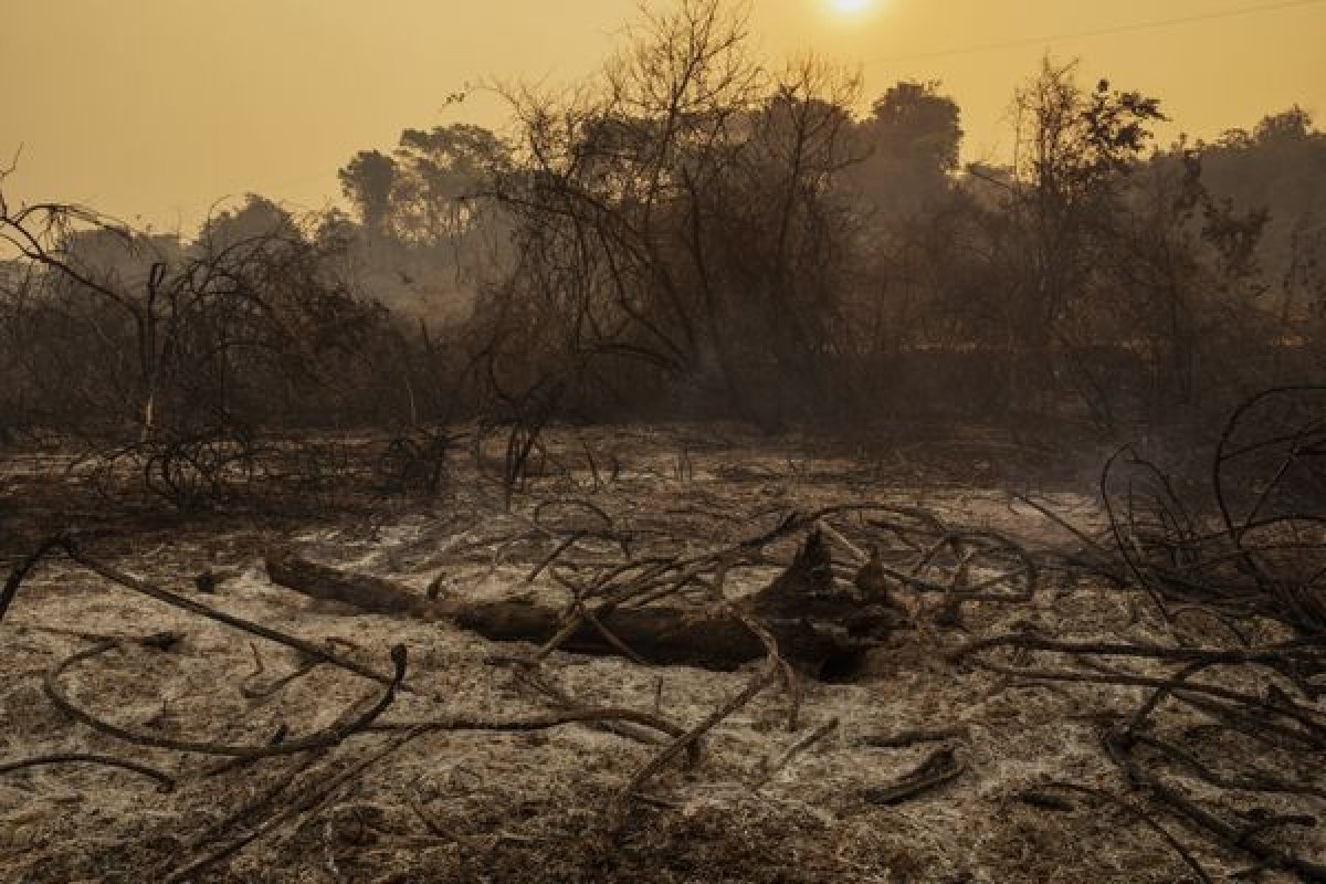Parlamentares visitam regiões afetadas pelos incêndios neste fim de semana