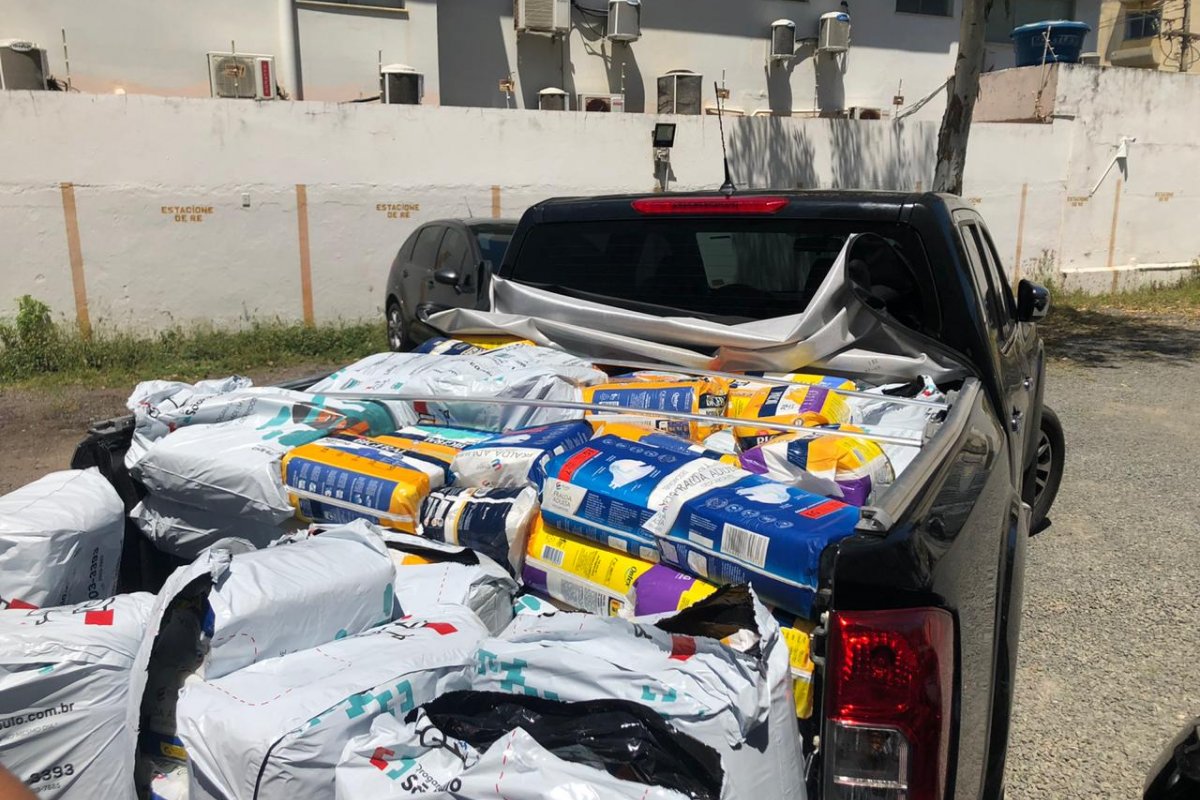 Em comemoração ao Dia do Ortopedista, a SBOT-BA fará entrega de mais de 300 pacotes de fraldas para Osid