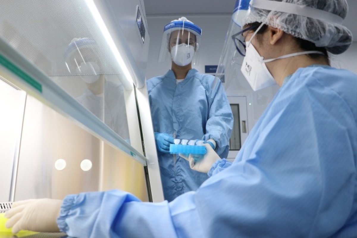 Ministério da Saúde quer fazer pesquisa para testar imunidade do coronavírus no Brasil