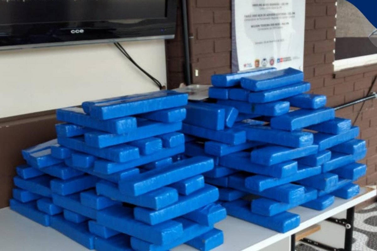 Polícia apreende 100 quilos de maconha no bairro do Arenoso, em Salvador