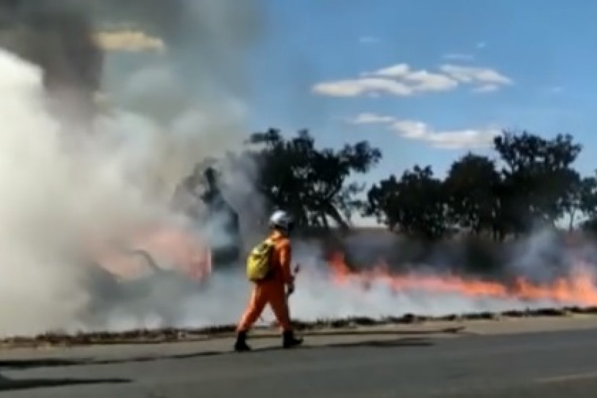 Mais de mil hectares de vegetação no oeste da Bahia já foram destruídos por incêndios, diz Corpo de Bombeiros