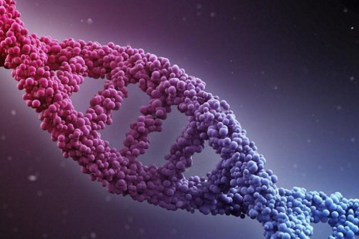 Pesquisa da USP cria maior sequenciamento genético da população brasileira