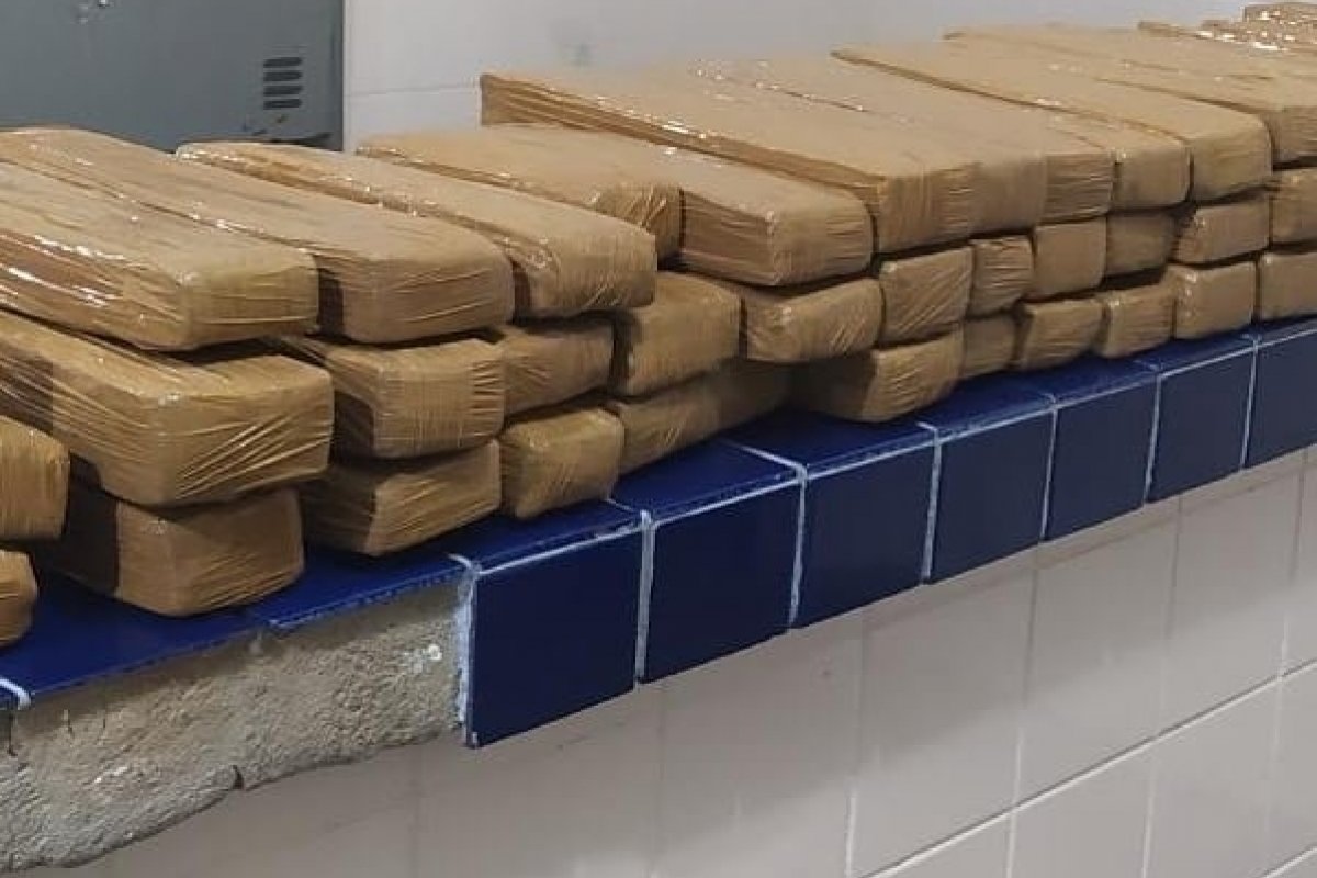 Polícia apreende mais de 73 quilos de maconha dentro de um ônibus na BR 030