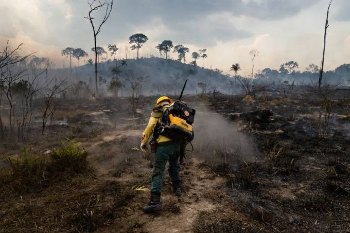 Brigadistas da Chapada Diamantina, na Bahia, arrecadam doações para enviar voluntários para combater fogos no Pantanal