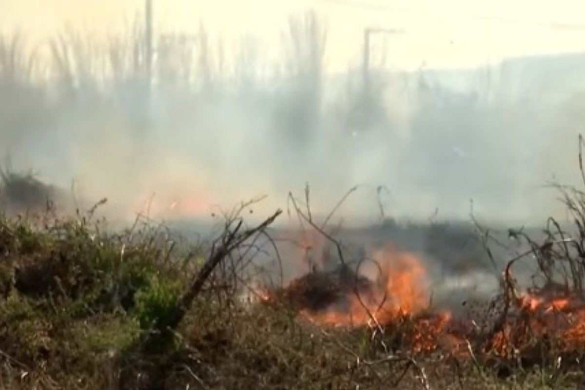 Mais aeronaves são enviadas para o oeste da Bahia para o combate de incêndio em área de vegetação