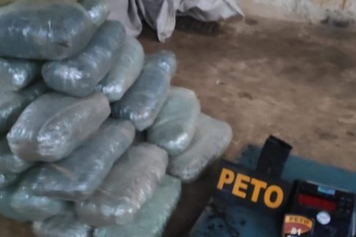 Operações apreendem mais de 60 quilos de maconha em Itinga