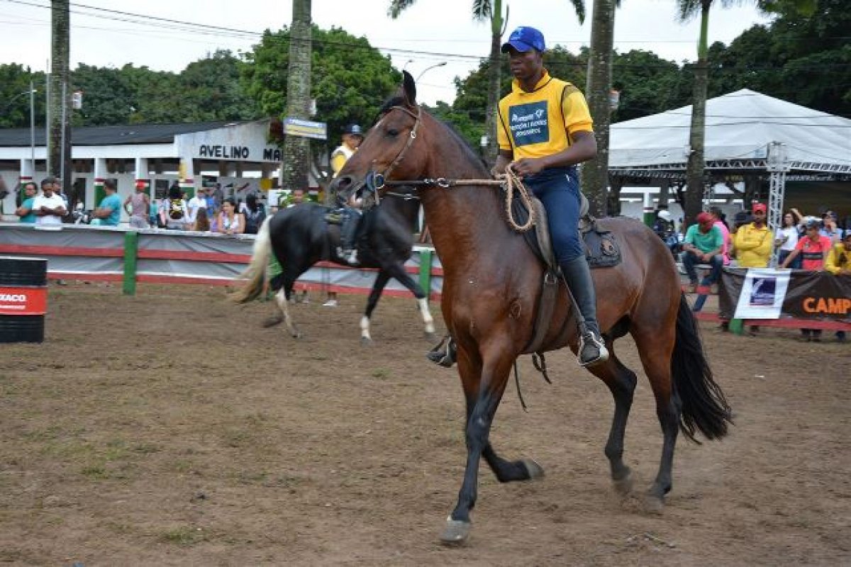 6ª Exposição de Campolina Marchador e a 2ª Expo Portal movimentam o centro norte baiano neste fim de semana