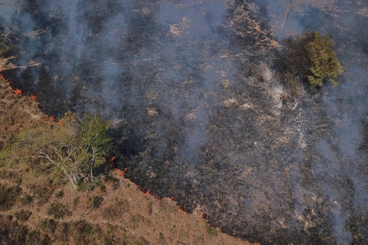Ricardo Salles faz visita técnica nas áreas afetadas pelos incêndios no Pantanal de MT
