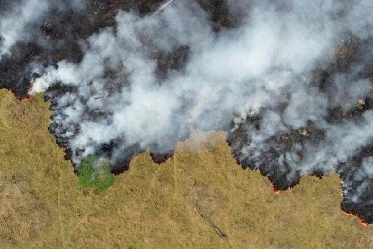 Em 18 anos, Brasil perde área de vegetação natural próxima ao tamanho da Bahia, diz IBGE