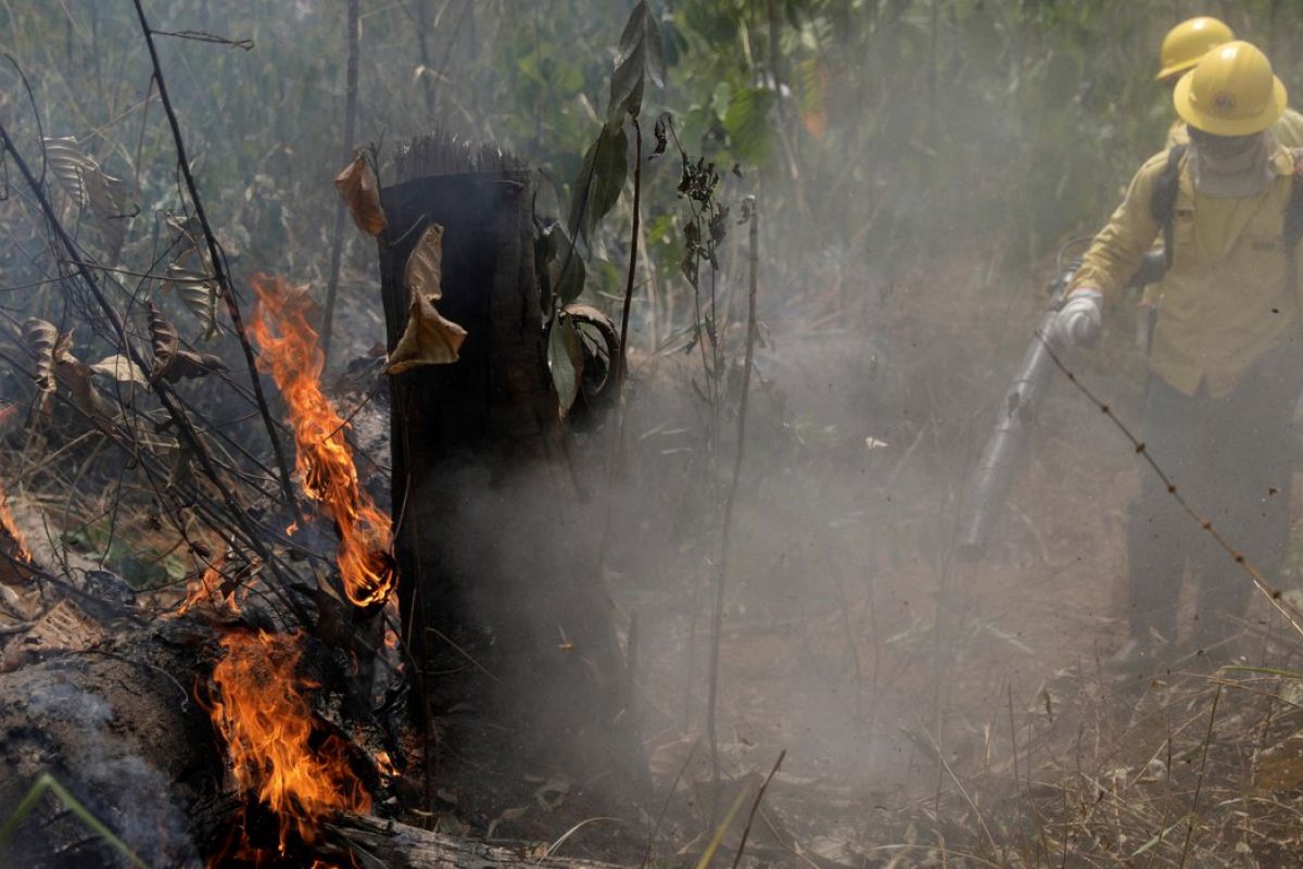 AGU cobra R$ 893 milhões de desmatadores da Amazônia