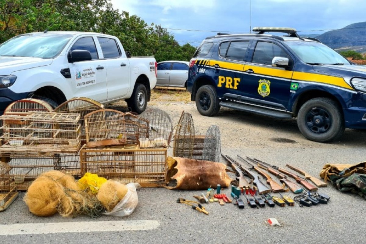 Em ação conjunta, PRF-BA e Inema resgatam pássaros silvestres em fazendas no sul da Bahia