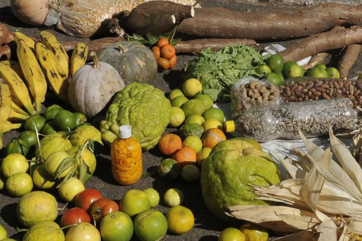 Governo repassará mais R$ 72,9 milhões aos estados para o PAA