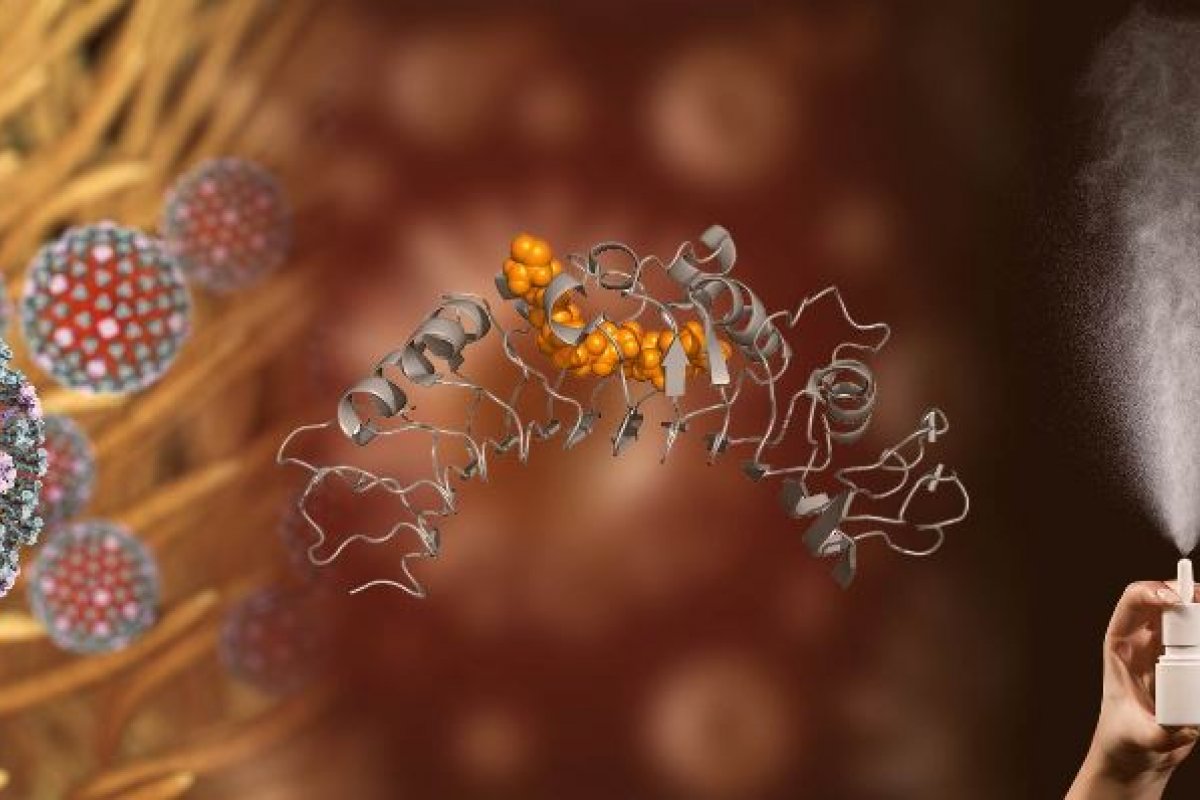 Empresa informa que spray nasal ajudou a conter coronavírus em testes com animais