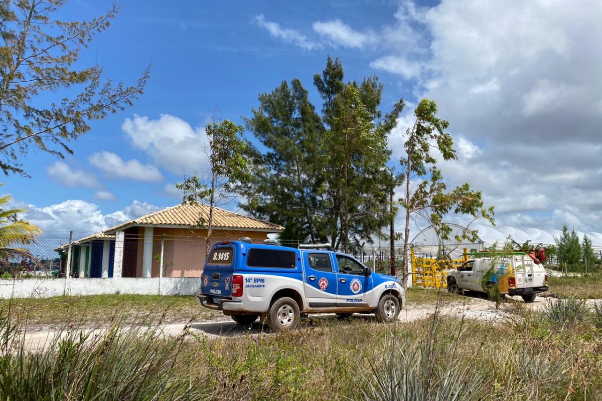 Operação desativa "gatos" de energia em fazenda e maricultura no interior da Bahia