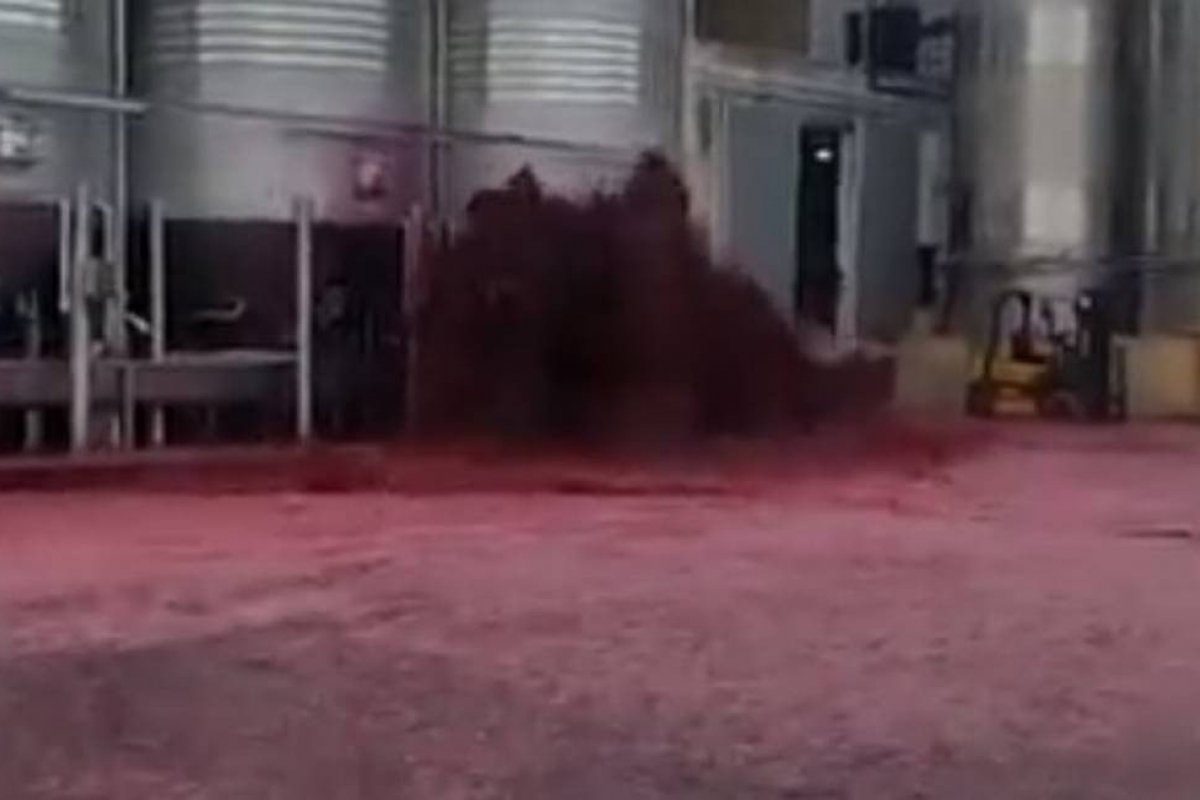 Vídeo: vazamento em tanque provoca "inundação" de vinho na Espanha