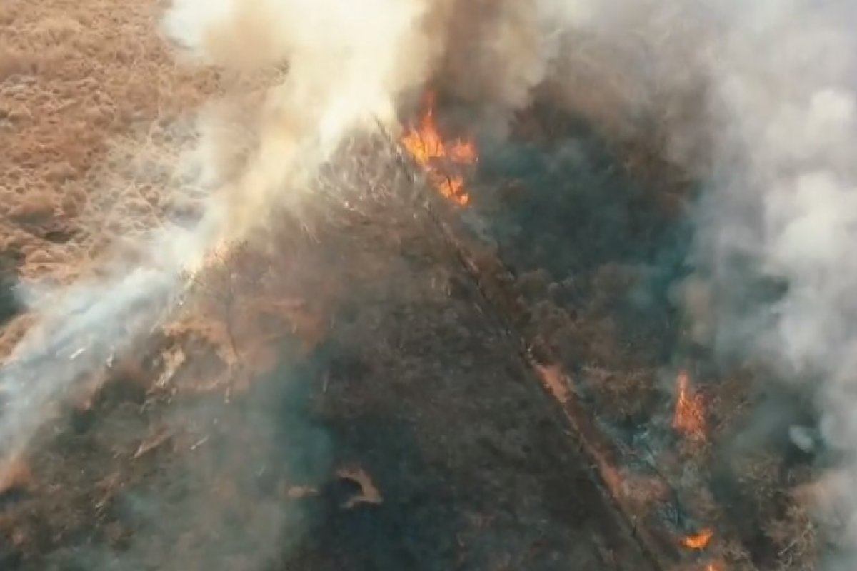 Incêndio destrói 90 hectares de vegetação em Guanambi, na Bahia