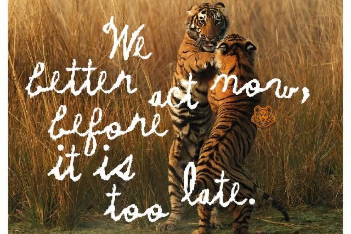 Kenzo promove ação para proteger os tigres selvagens