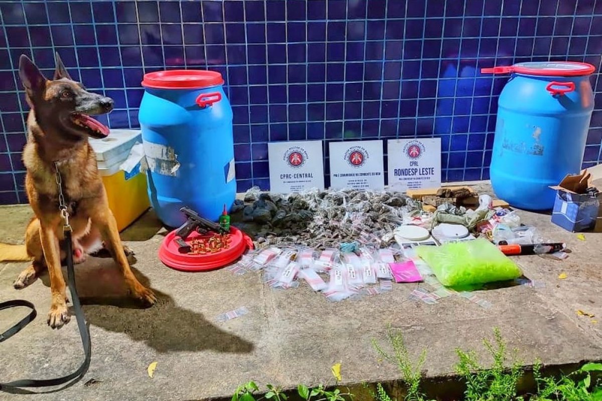 Com ajuda de cão farejador, homem é flagrado e preso com arma e drogas na Bahia
