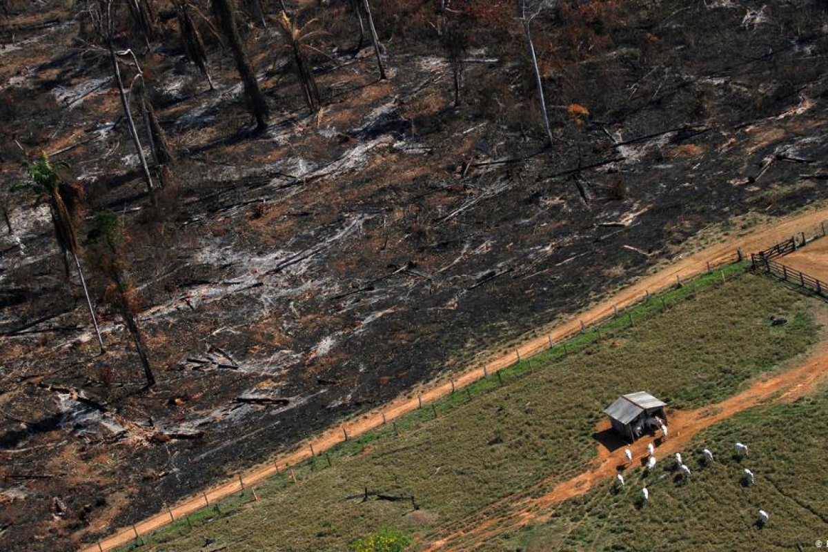 Agronegócio do Brasil causa 1 em cada 3 conflitos da Amazônia internacional, diz Atlas