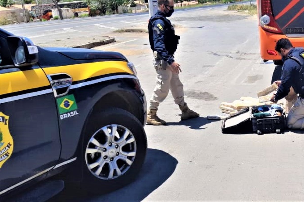 Cerca de 50 quilos de maconha é apreendido na BR 242