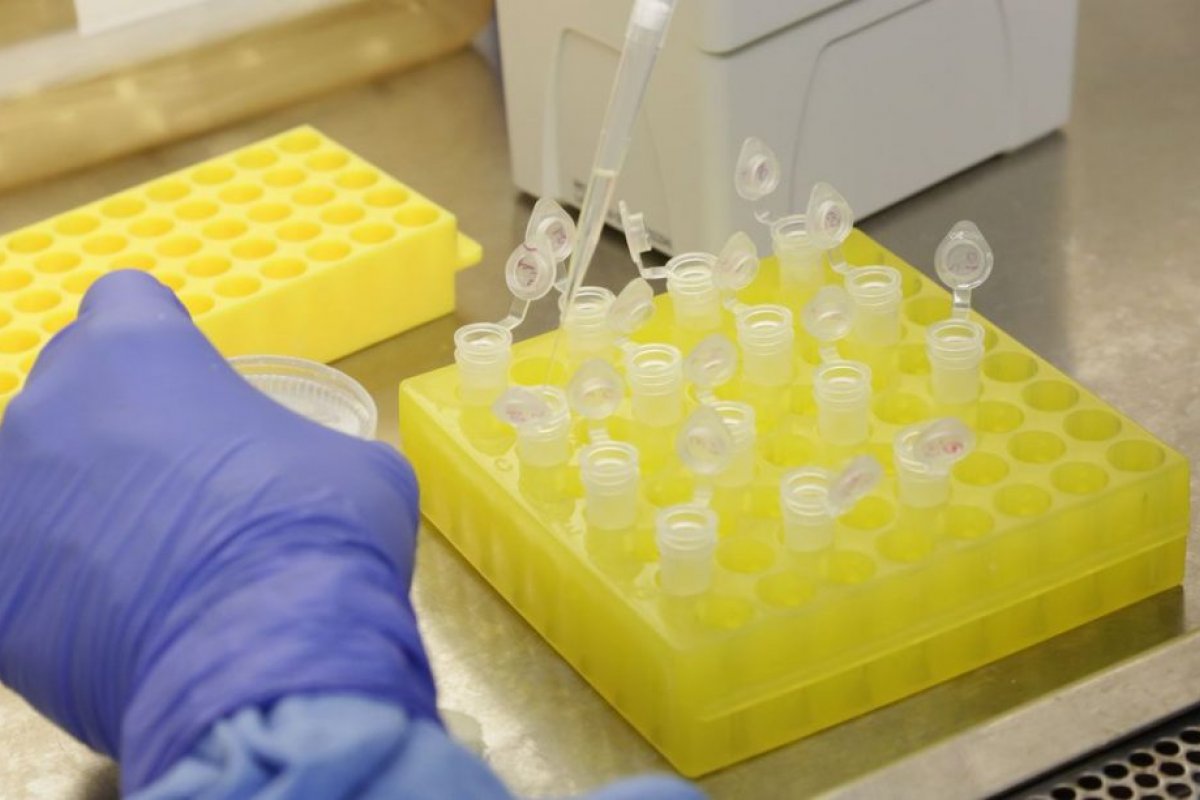 Novavax inicia fase 3 de testes para potencial vacina contra Covid-19