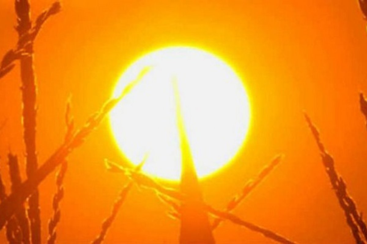 Oeste e sudoeste da BA registram 12% de umidade do ar