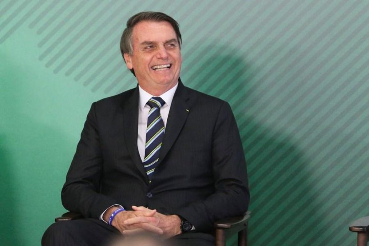 Bolsonaro sanciona lei que aumenta pena para quem maltrata cães e gatos