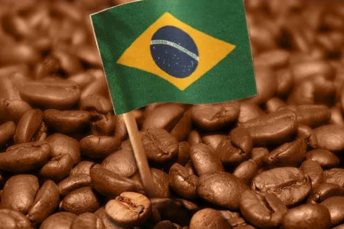 Produção dos Cafés do Brasil atinge 61,62 milhões de sacas de 60kg em 2020, volume 25% maior que 2019