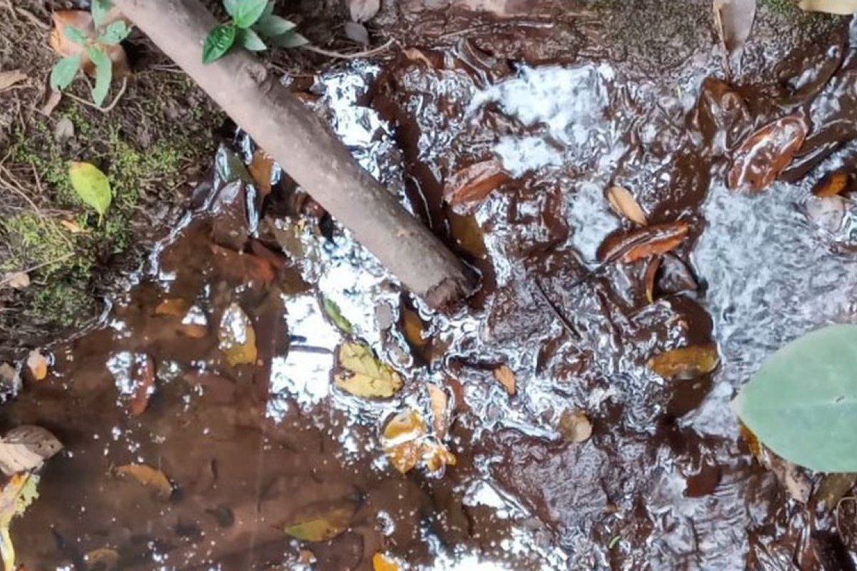 Moradores denunciam mineradora por poluição em nascente de rio na região da Chapada Diamantina