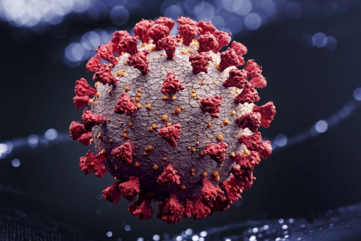 Cientistas encontram material genético da covid-19 em água de quatro praias nos EUA