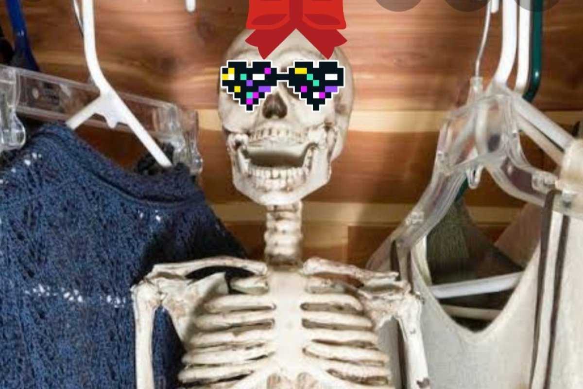 Ritinha e os esqueletos do armário