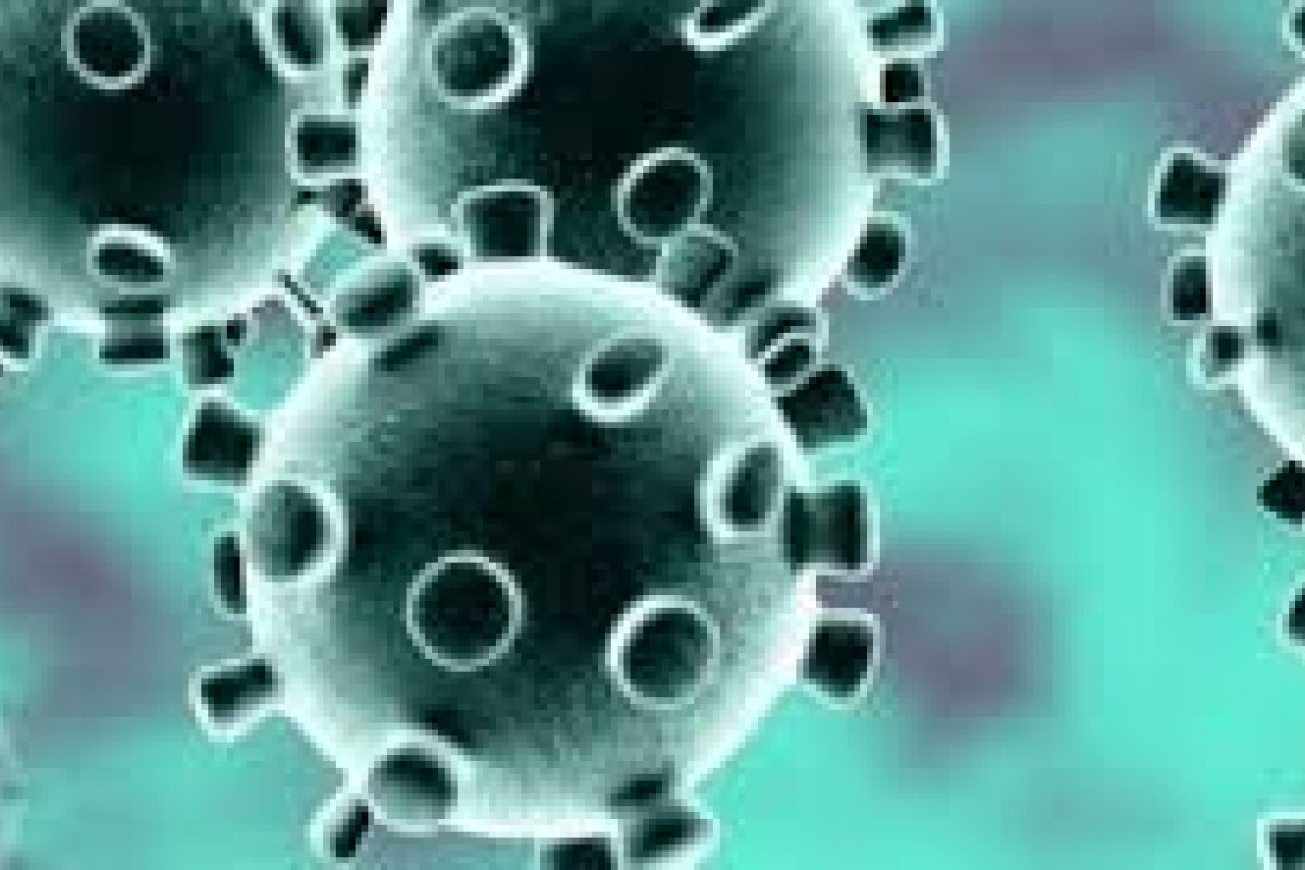 Covid-19: Bahia registra 1.307 novos casos nas últimas 24h