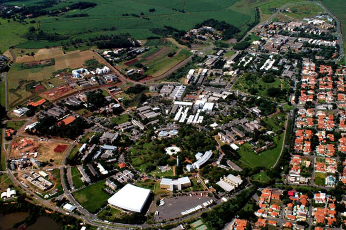 Cientistas da Unicamp receberam cerca de 60 mil mensagens em canal de denúncia de fake news sobre Covid-19