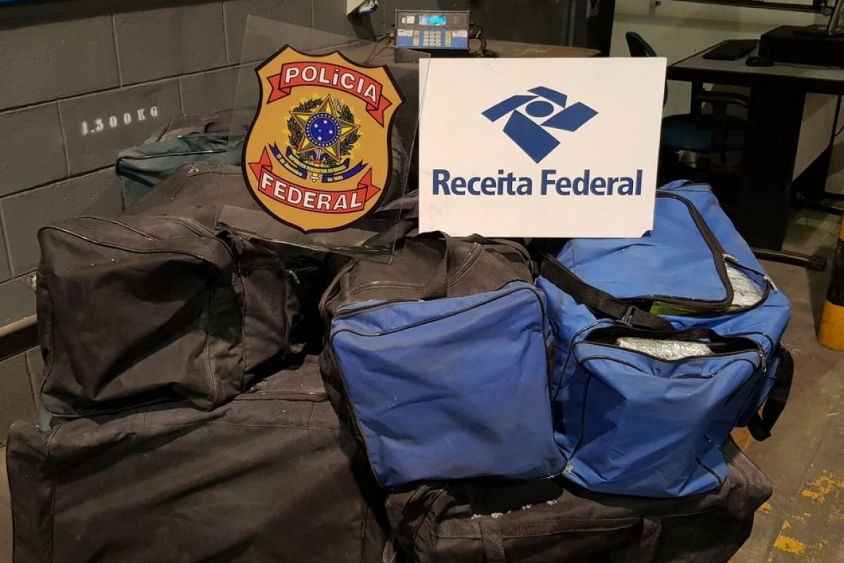 Quase 500 kg de cocaína são apreendidas no porto de Salvador