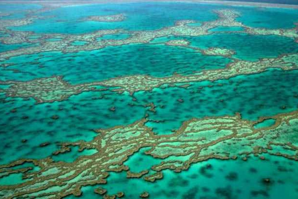 Aquecimento dos oceanos pode alterar recifes de corais e provocar migração de peixes
