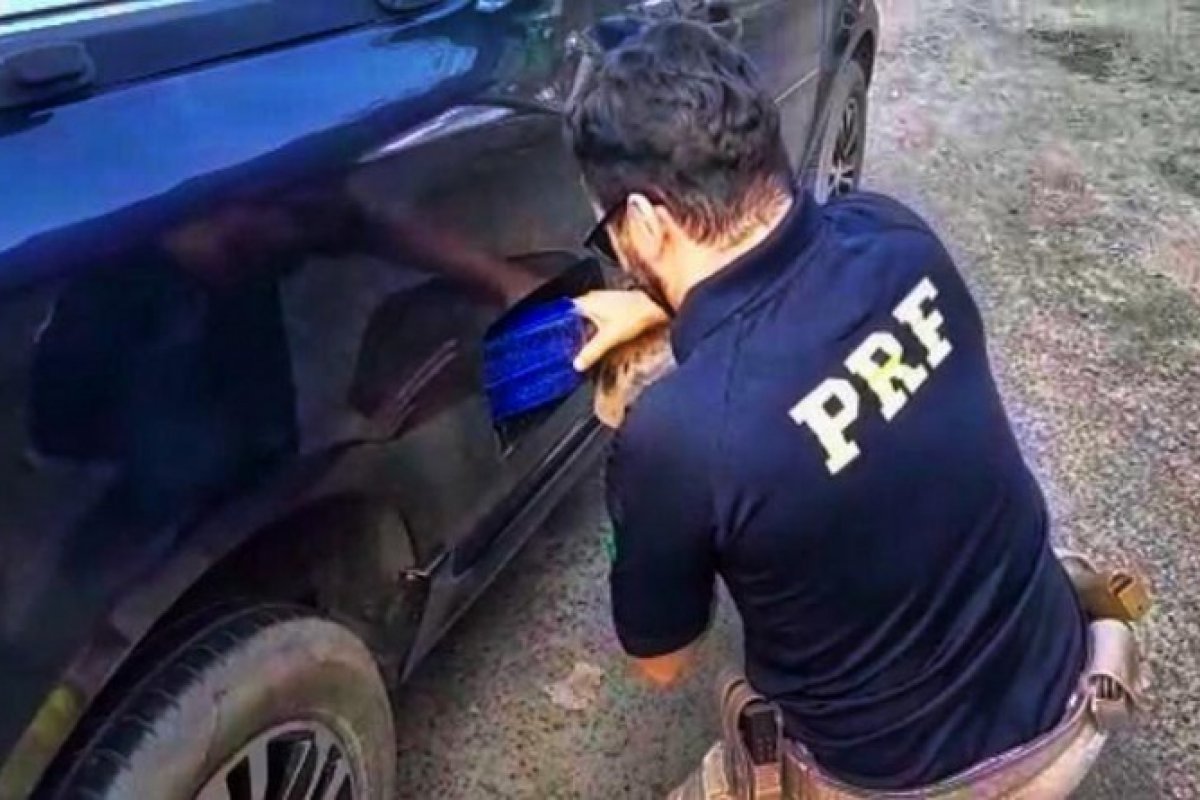 Dois homens são presos com mais de 60 quilos de drogas escondidas em um carro na BR 116