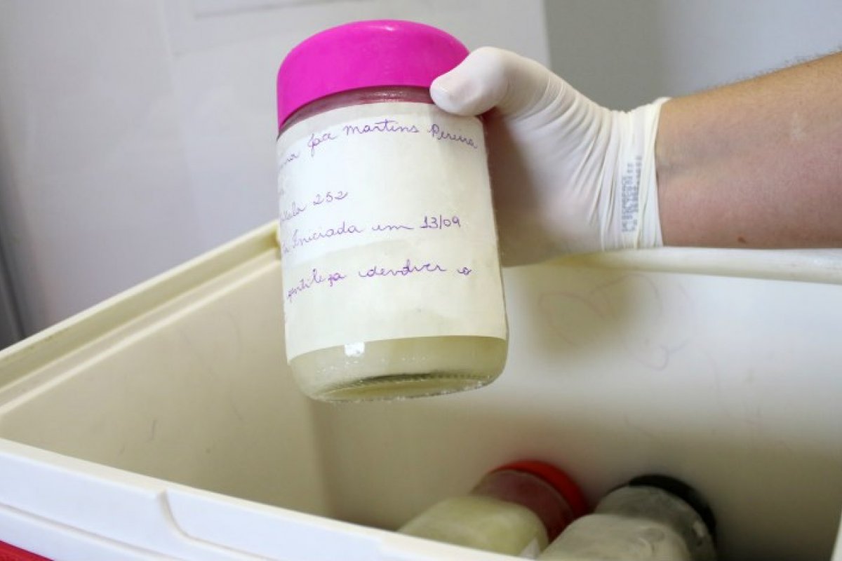 Projeto do Corpo de Bombeiros recolhe e distribui leite materno