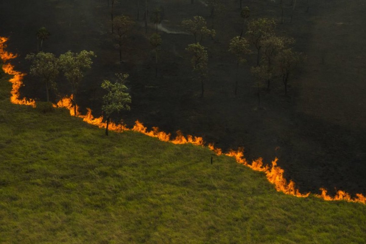 Incêndio no Pantanal destruiu 14% do bioma apenas em setembro, diz Inpe