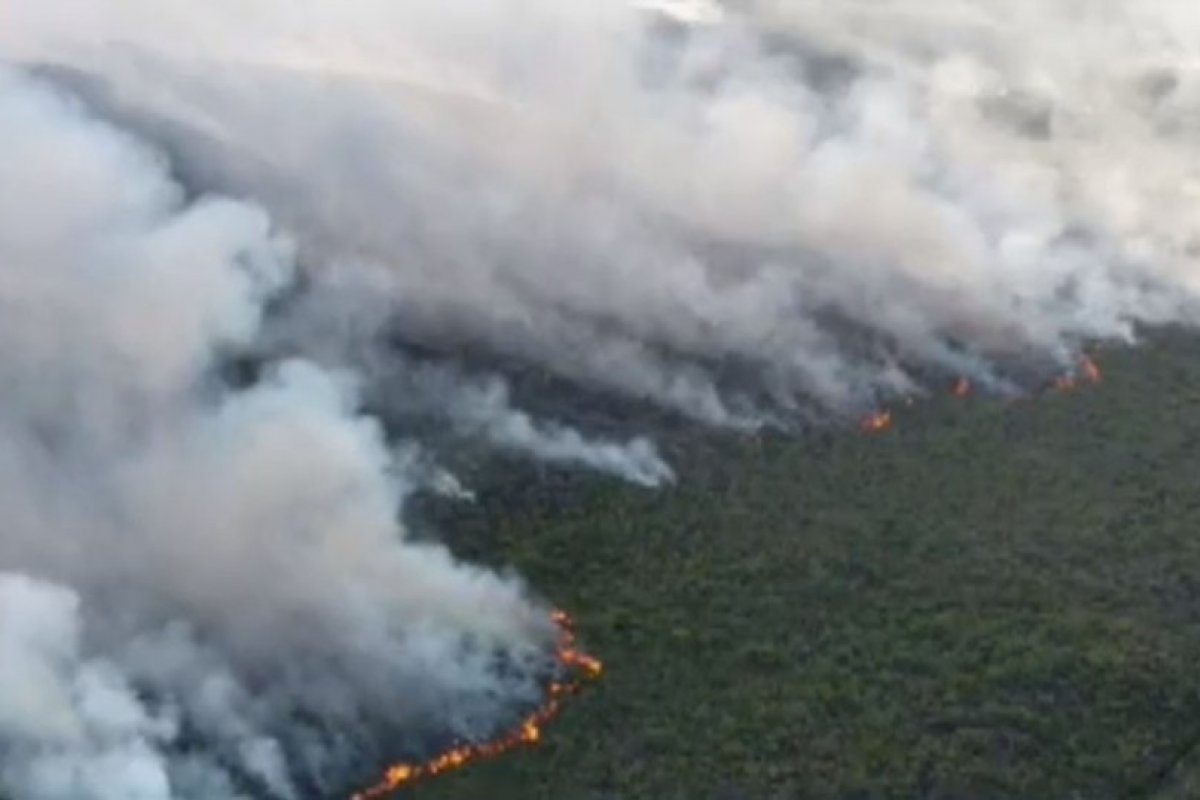 Incêndio que atinge Chapada Diamantina tem indícios de crime ambiental