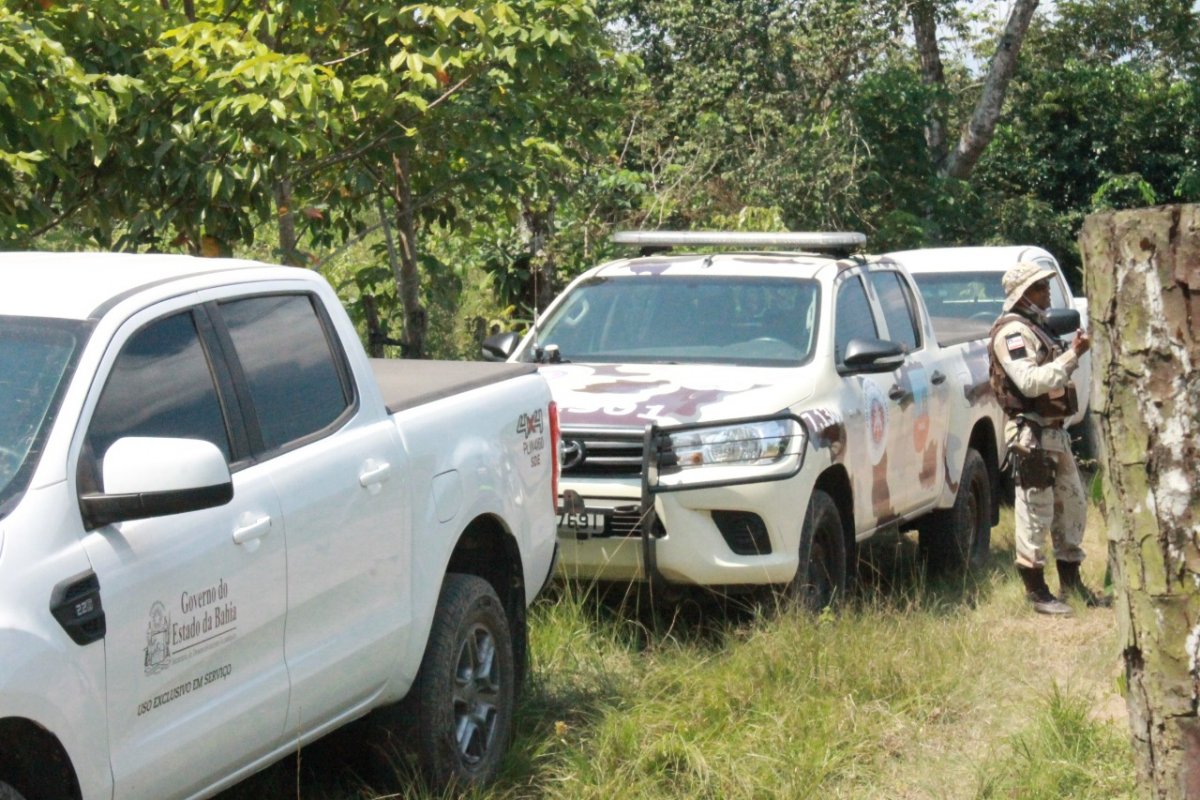 Ação identifica desmatamento ilegal na região do Anel Florestal do Polo Industrial de Camaçari