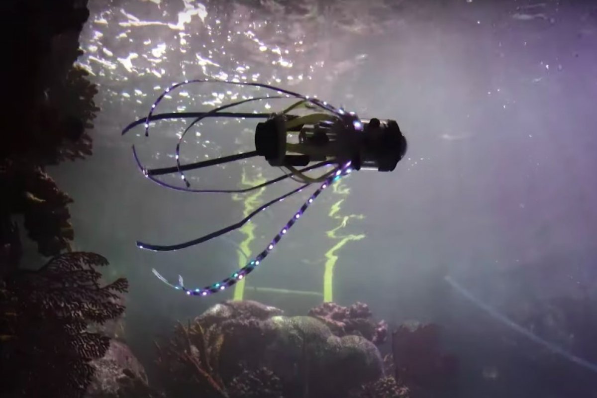 Engenheiros de universidade americana constroem robô em forma de lula