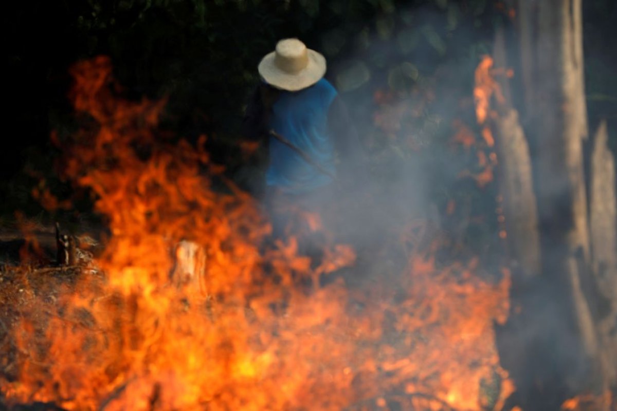 Inpe: Desmatamento da Amazônia cai pelo terceiro mês consecutivo, mas queimadas aumentam